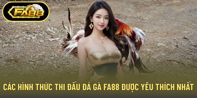 Các hình thức thi đấu đá gà FA88 được yêu thích nhất