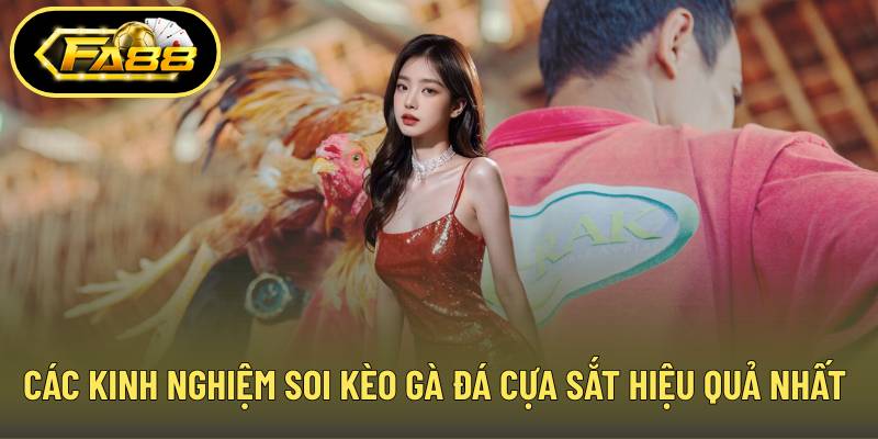 Các kinh nghiệm soi kèo gà đá cựa sắt hiệu quả nhất