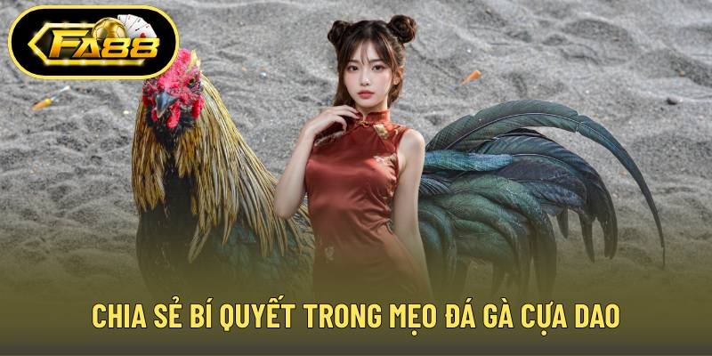 Chia sẻ bí quyết trong mẹo đá gà cựa dao