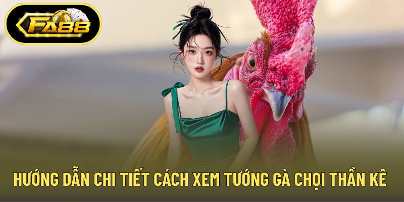 Hướng dẫn chi tiết cách xem tướng gà chọi thần kê bất bại